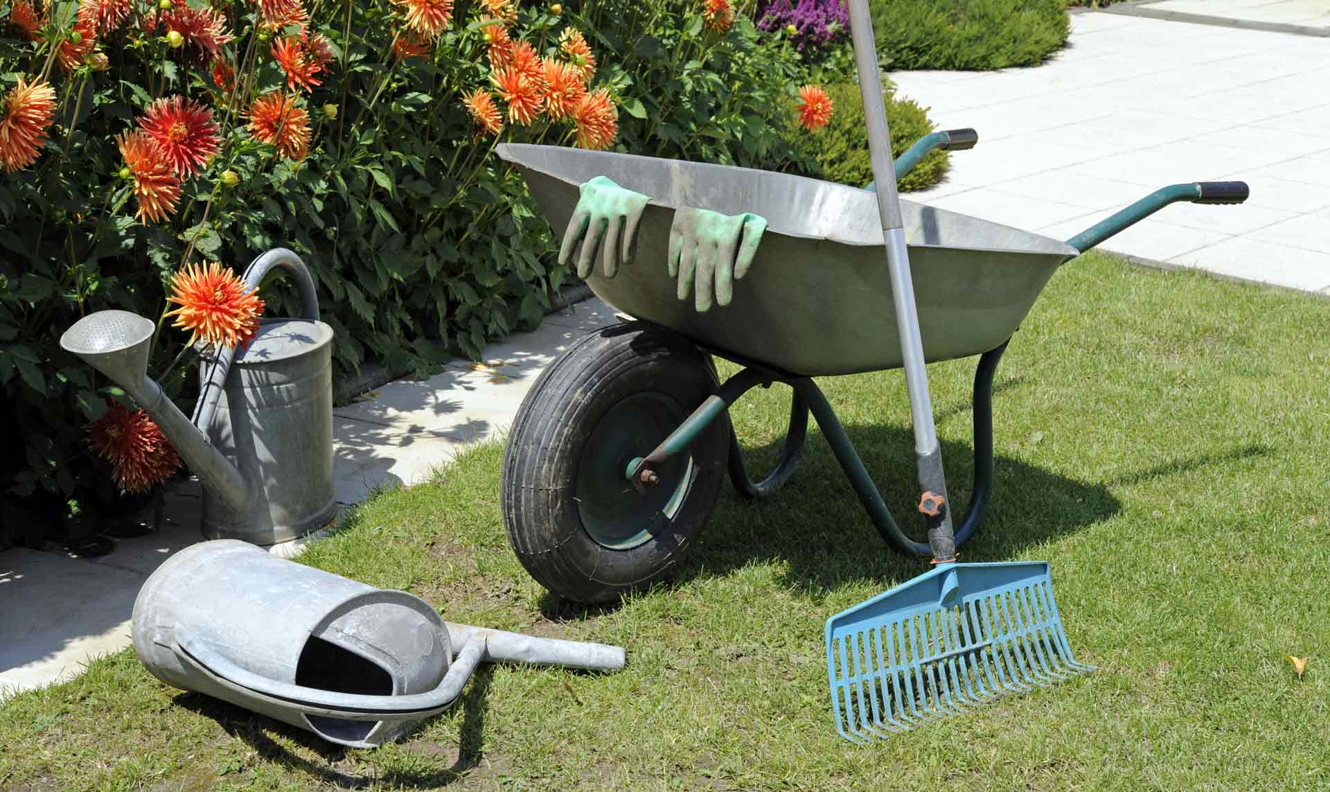 hof-haus-garten-as-33768394